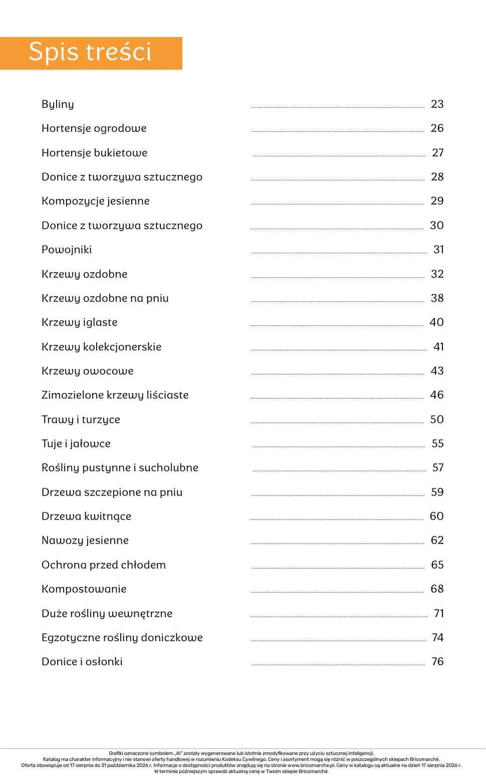 gazetka promocyjna BRICOMARCHE Katalog 2026 - Strona 22