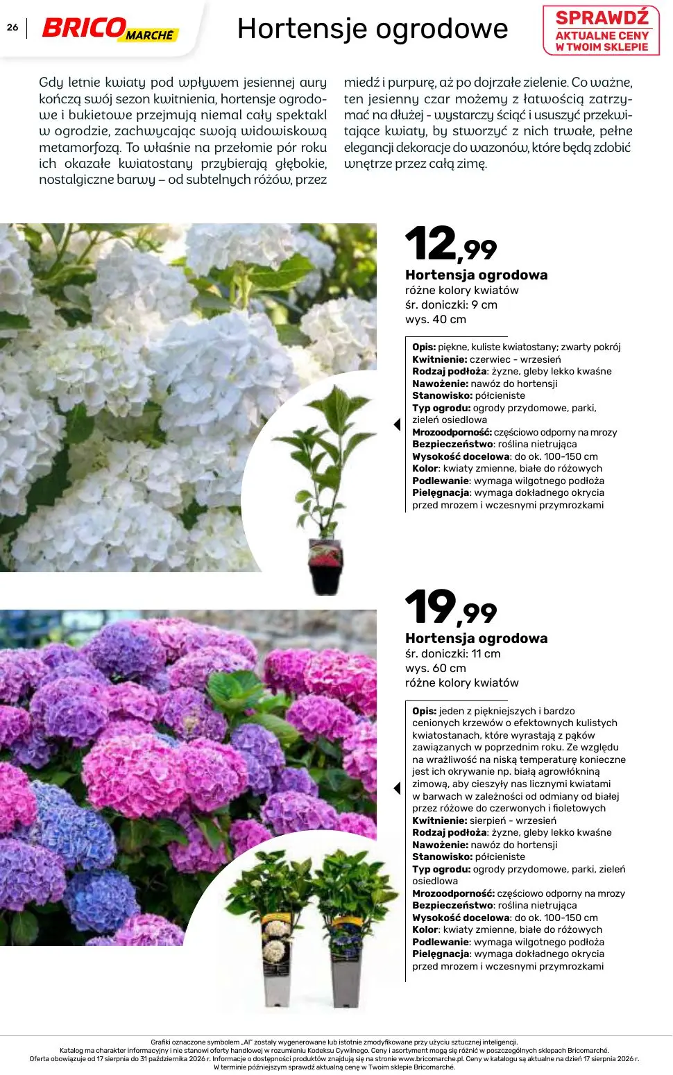 gazetka promocyjna BRICOMARCHE Katalog 2026 - Strona 26