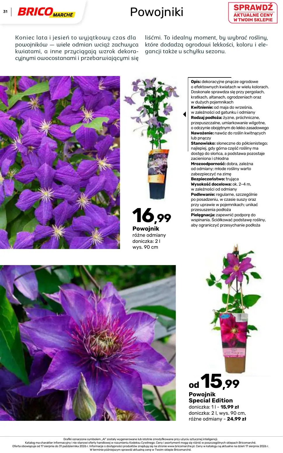gazetka promocyjna BRICOMARCHE Katalog 2026 - Strona 31