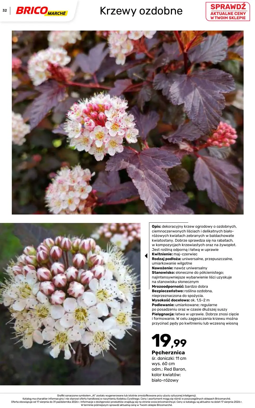 gazetka promocyjna BRICOMARCHE Katalog 2026 - Strona 32