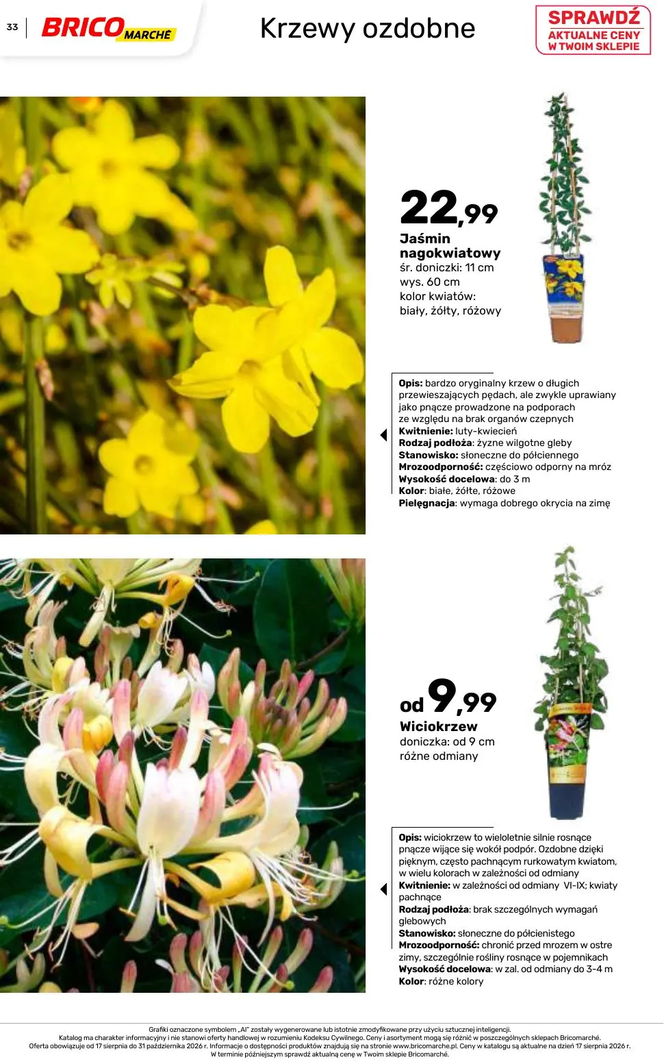 gazetka promocyjna BRICOMARCHE Katalog 2026 - Strona 33