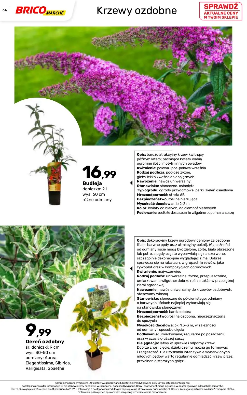 gazetka promocyjna BRICOMARCHE Katalog 2026 - Strona 34