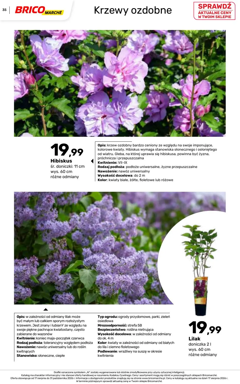 gazetka promocyjna BRICOMARCHE Katalog 2026 - Strona 35