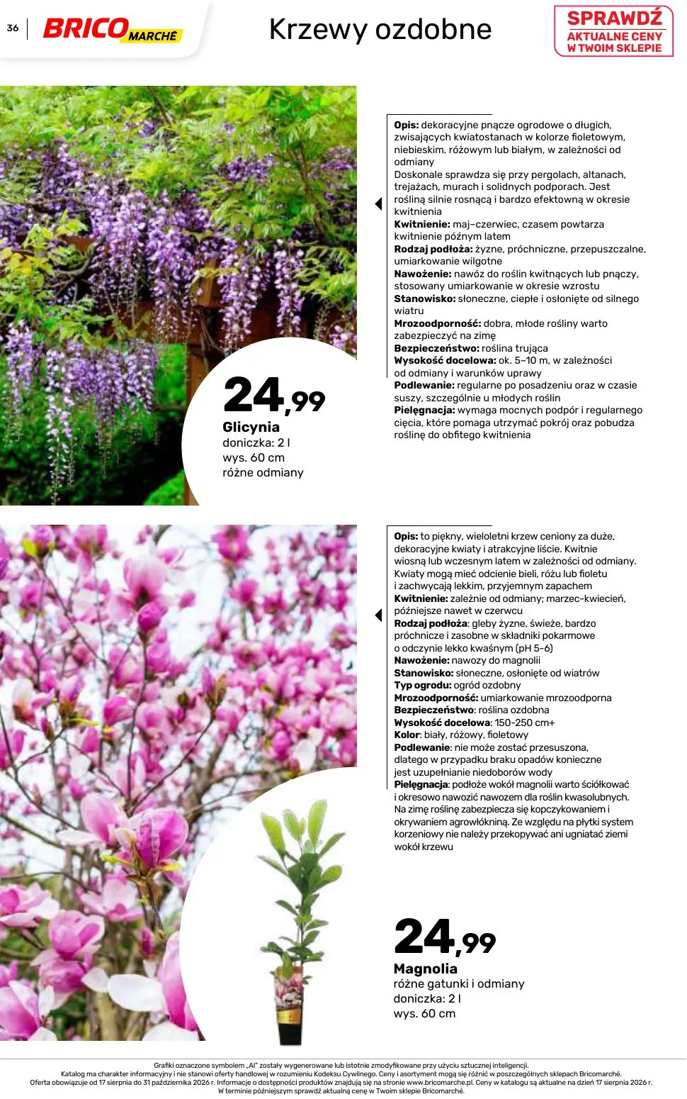 gazetka promocyjna BRICOMARCHE Katalog 2026 - Strona 36