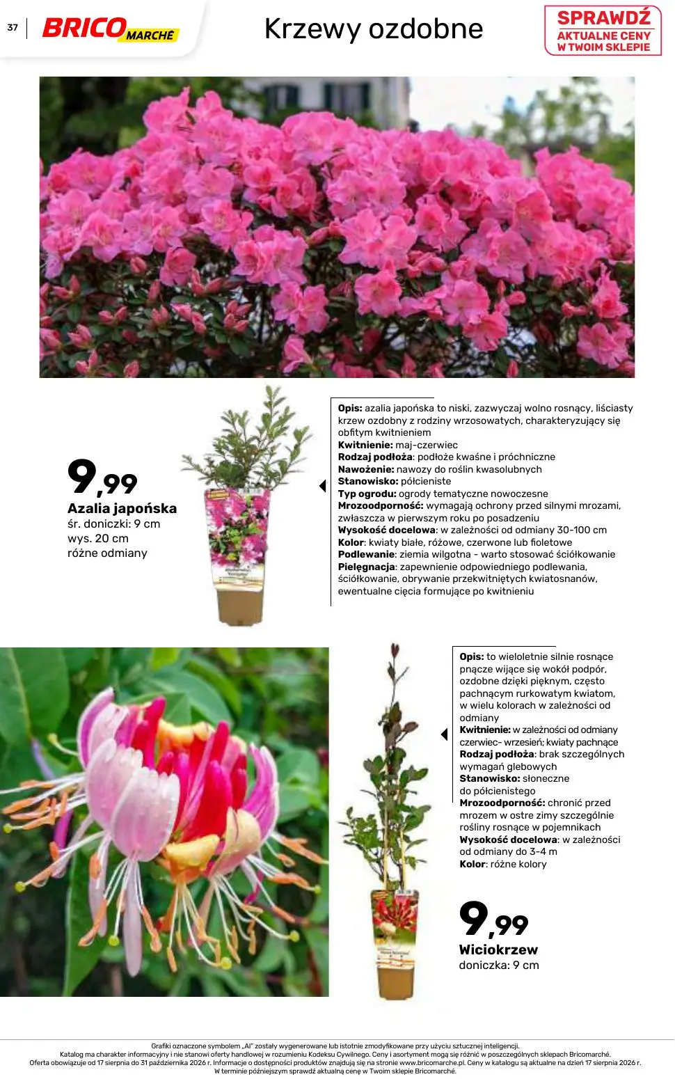 gazetka promocyjna BRICOMARCHE Katalog 2026 - Strona 37