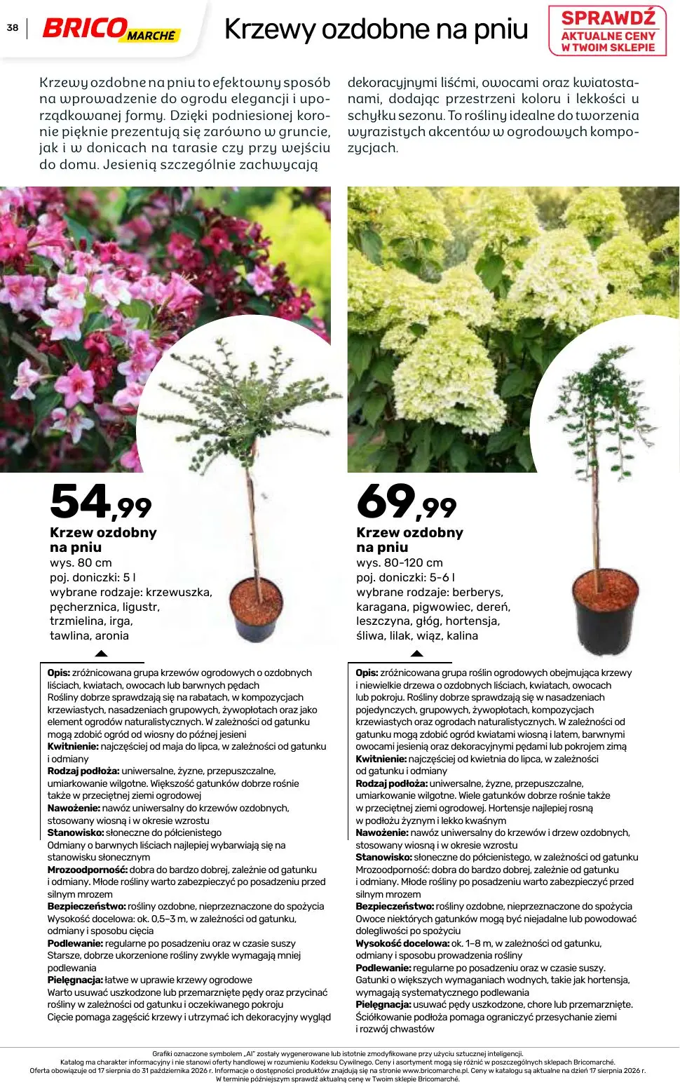 gazetka promocyjna BRICOMARCHE Katalog 2026 - Strona 38