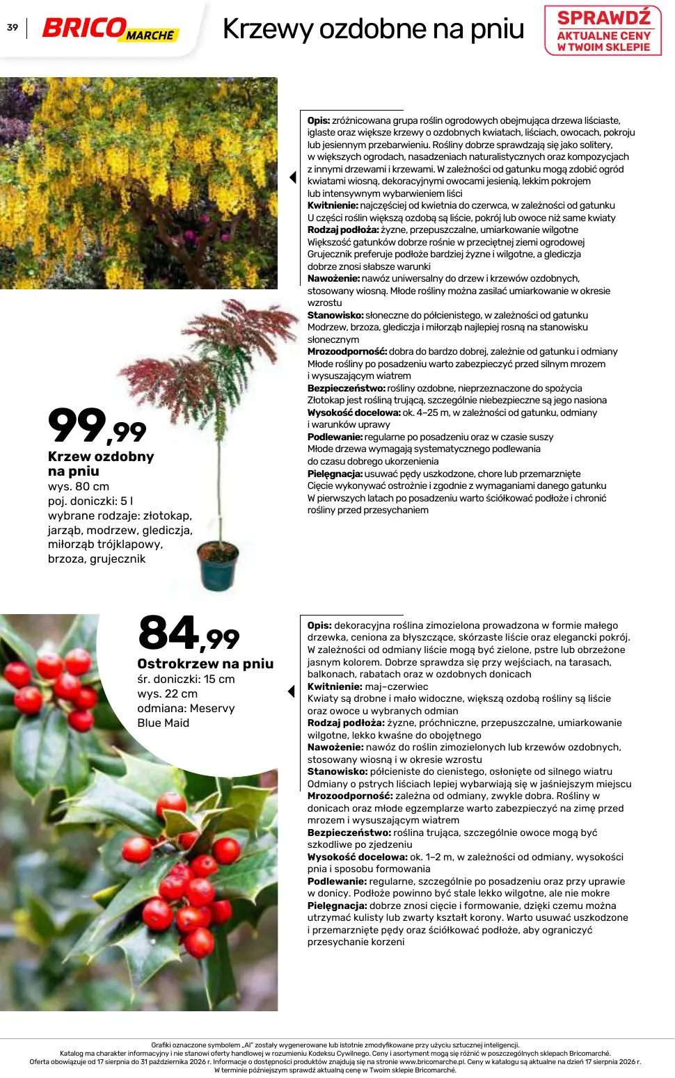 gazetka promocyjna BRICOMARCHE Katalog 2026 - Strona 39