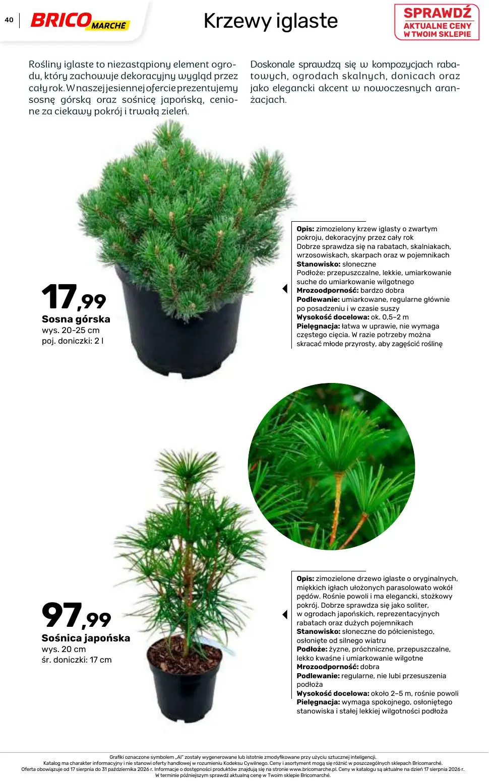 gazetka promocyjna BRICOMARCHE Katalog 2026 - Strona 40