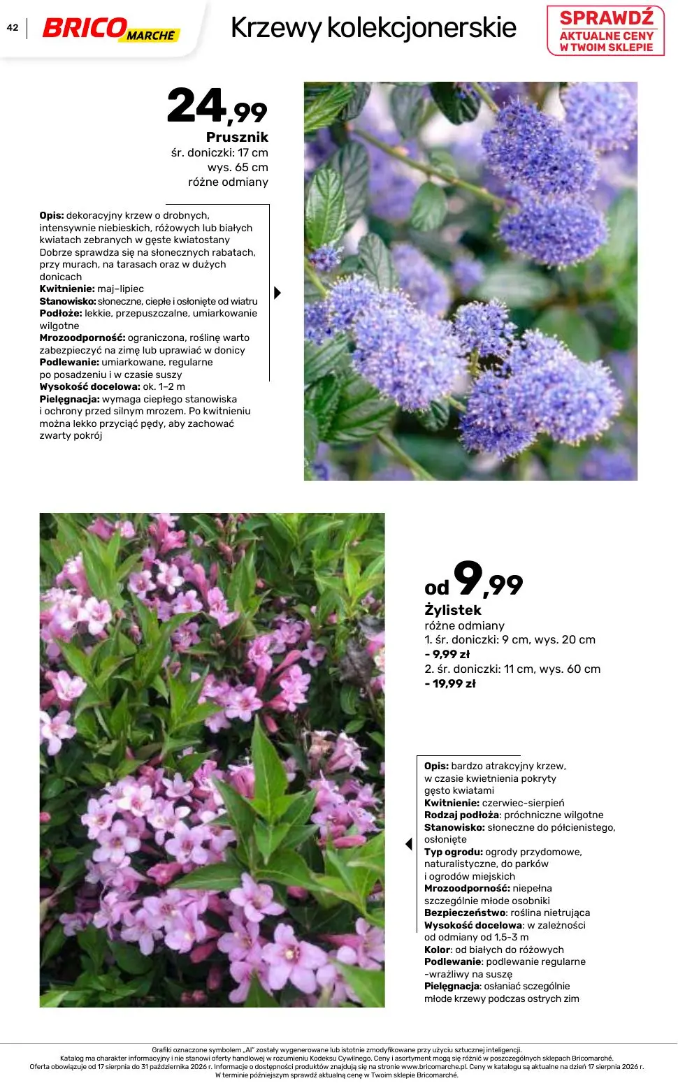 gazetka promocyjna BRICOMARCHE Katalog 2026 - Strona 42