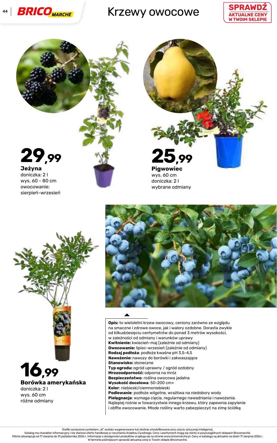 gazetka promocyjna BRICOMARCHE Katalog 2026 - Strona 44