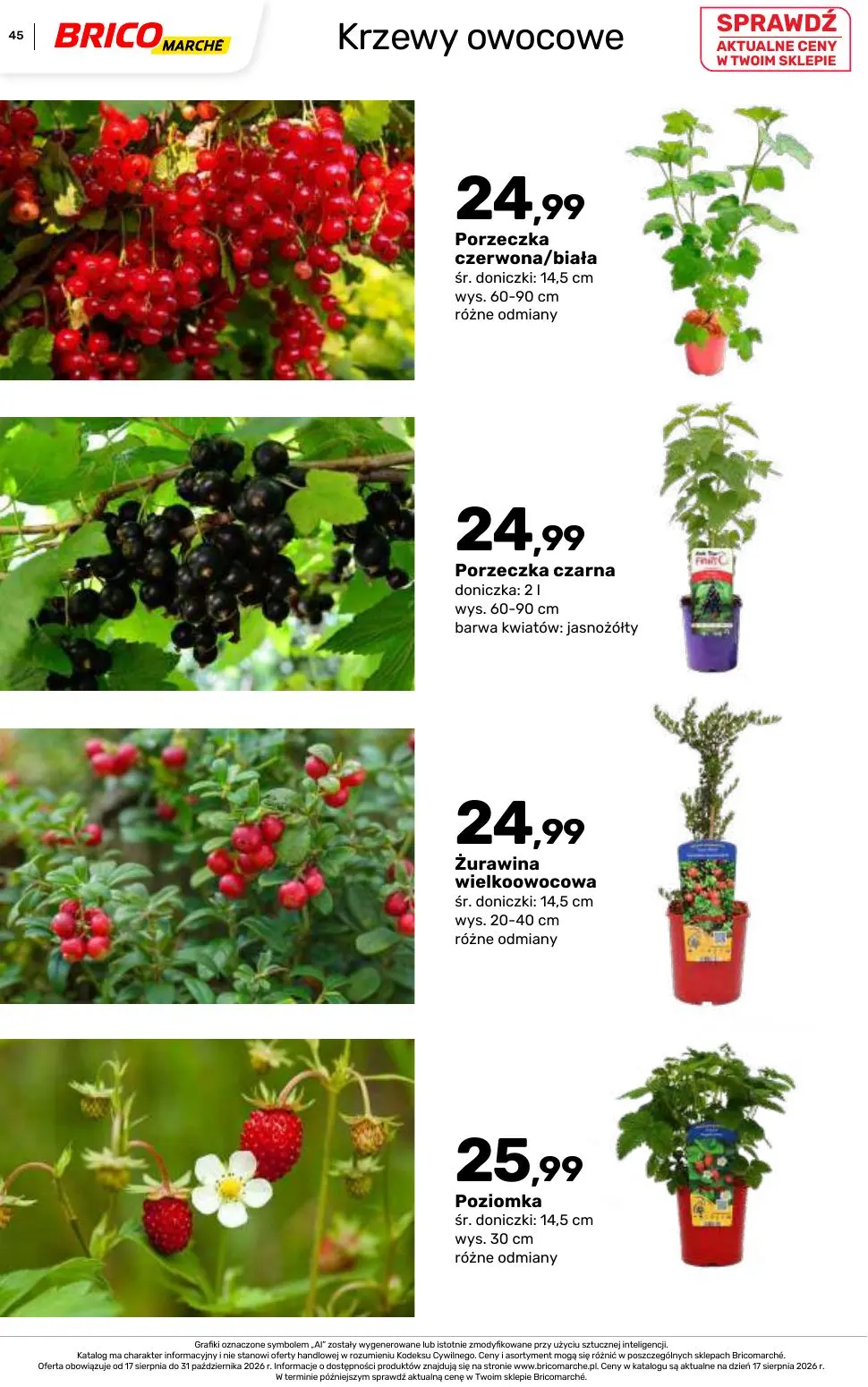 gazetka promocyjna BRICOMARCHE Katalog 2026 - Strona 45