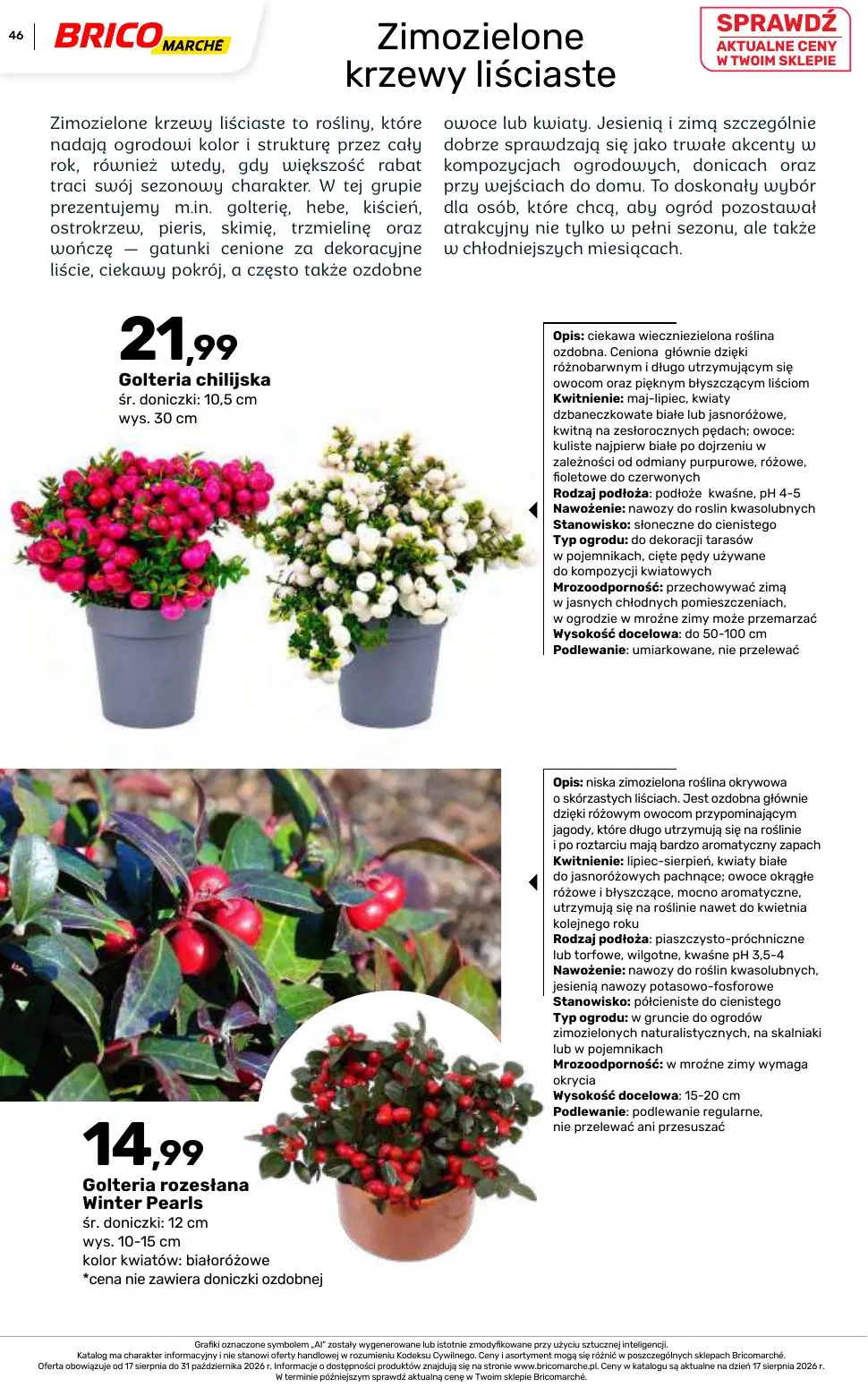 gazetka promocyjna BRICOMARCHE Katalog 2026 - Strona 46