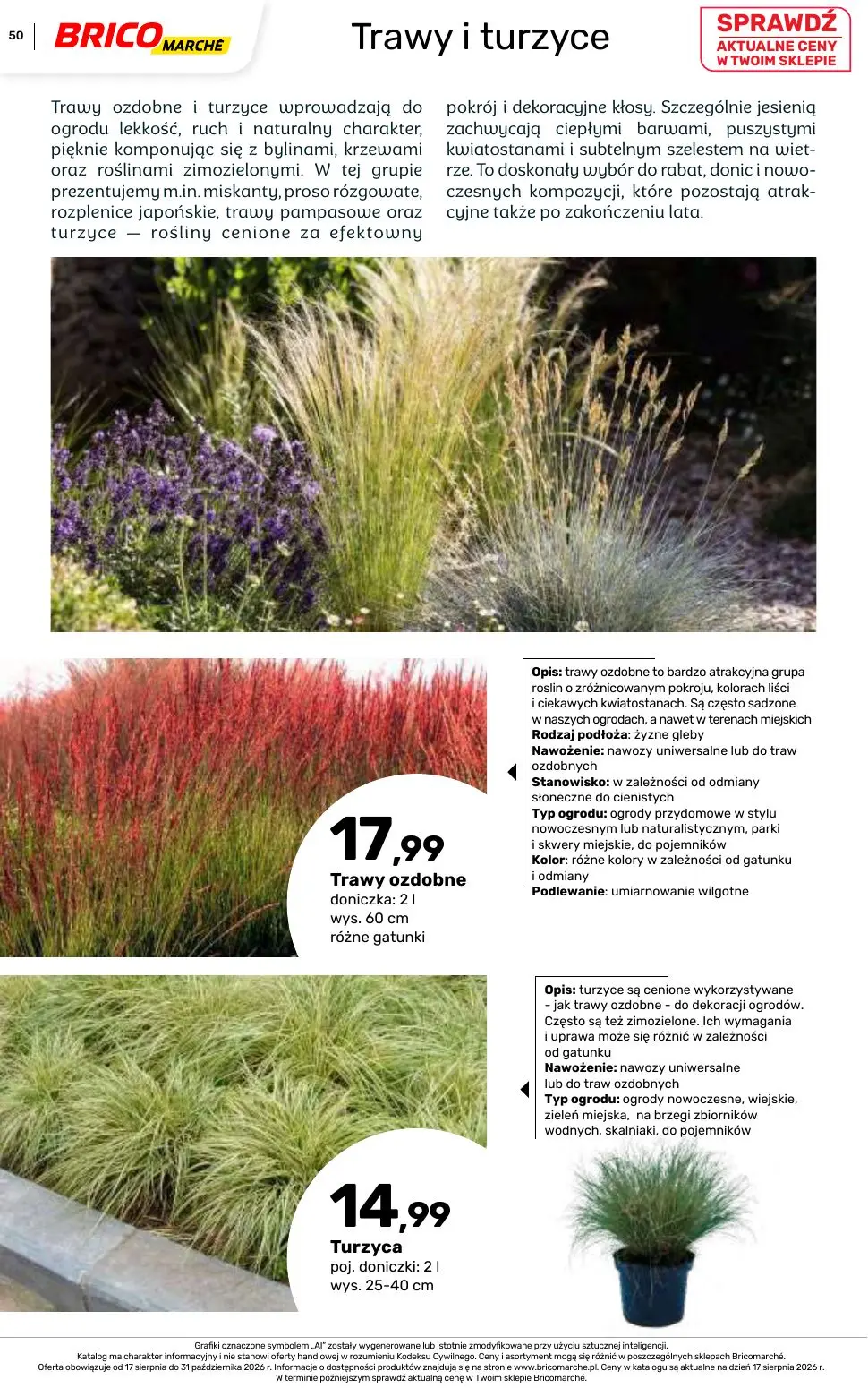 gazetka promocyjna BRICOMARCHE Katalog 2026 - Strona 50