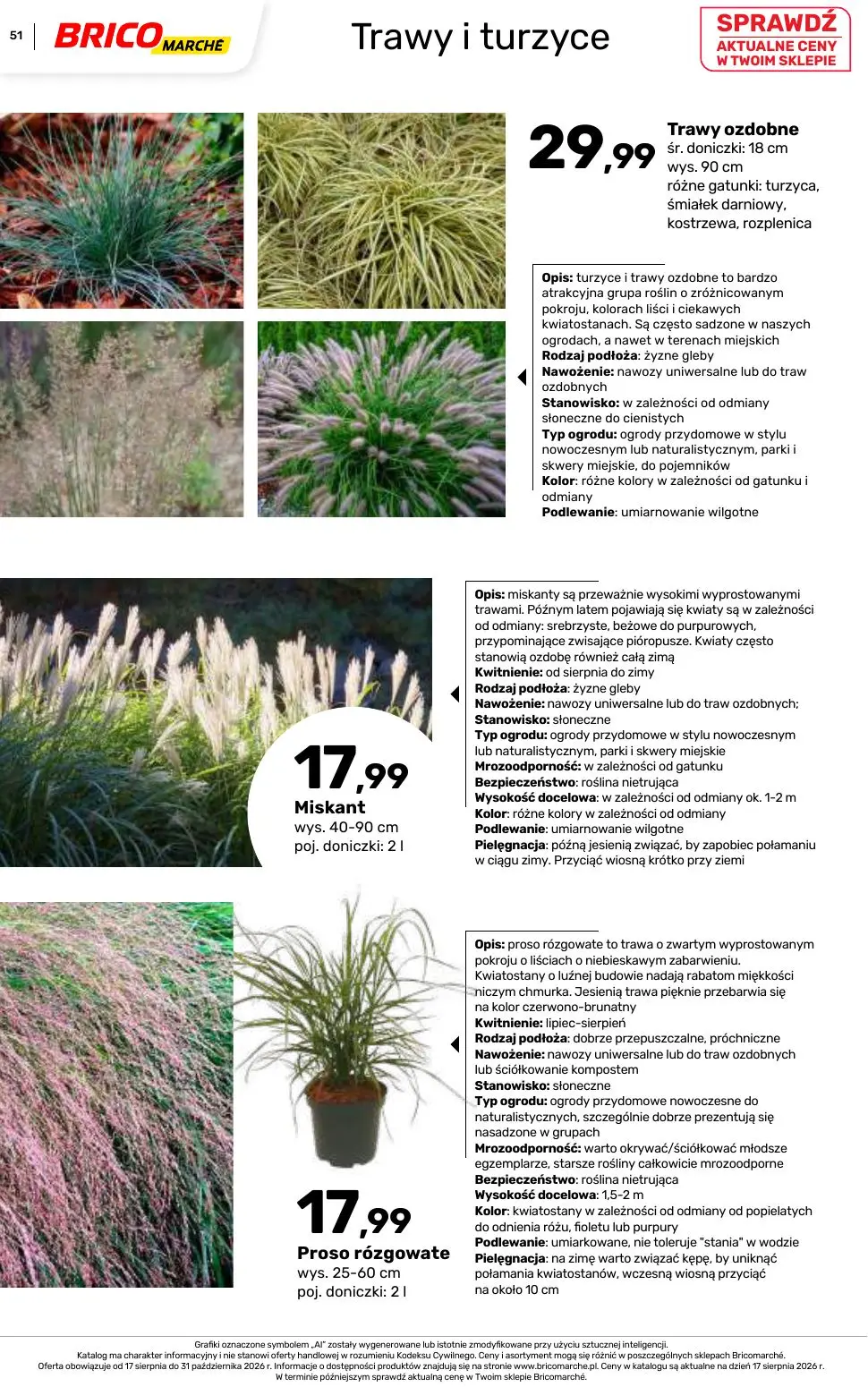 gazetka promocyjna BRICOMARCHE Katalog 2026 - Strona 51