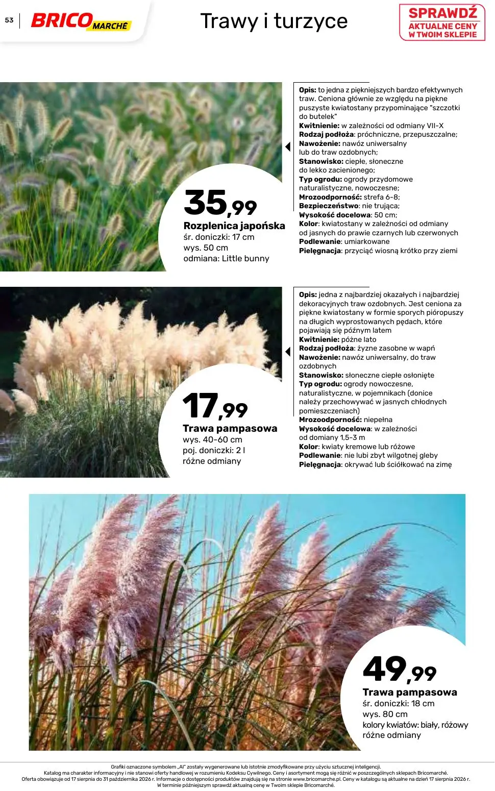 gazetka promocyjna BRICOMARCHE Katalog 2026 - Strona 53
