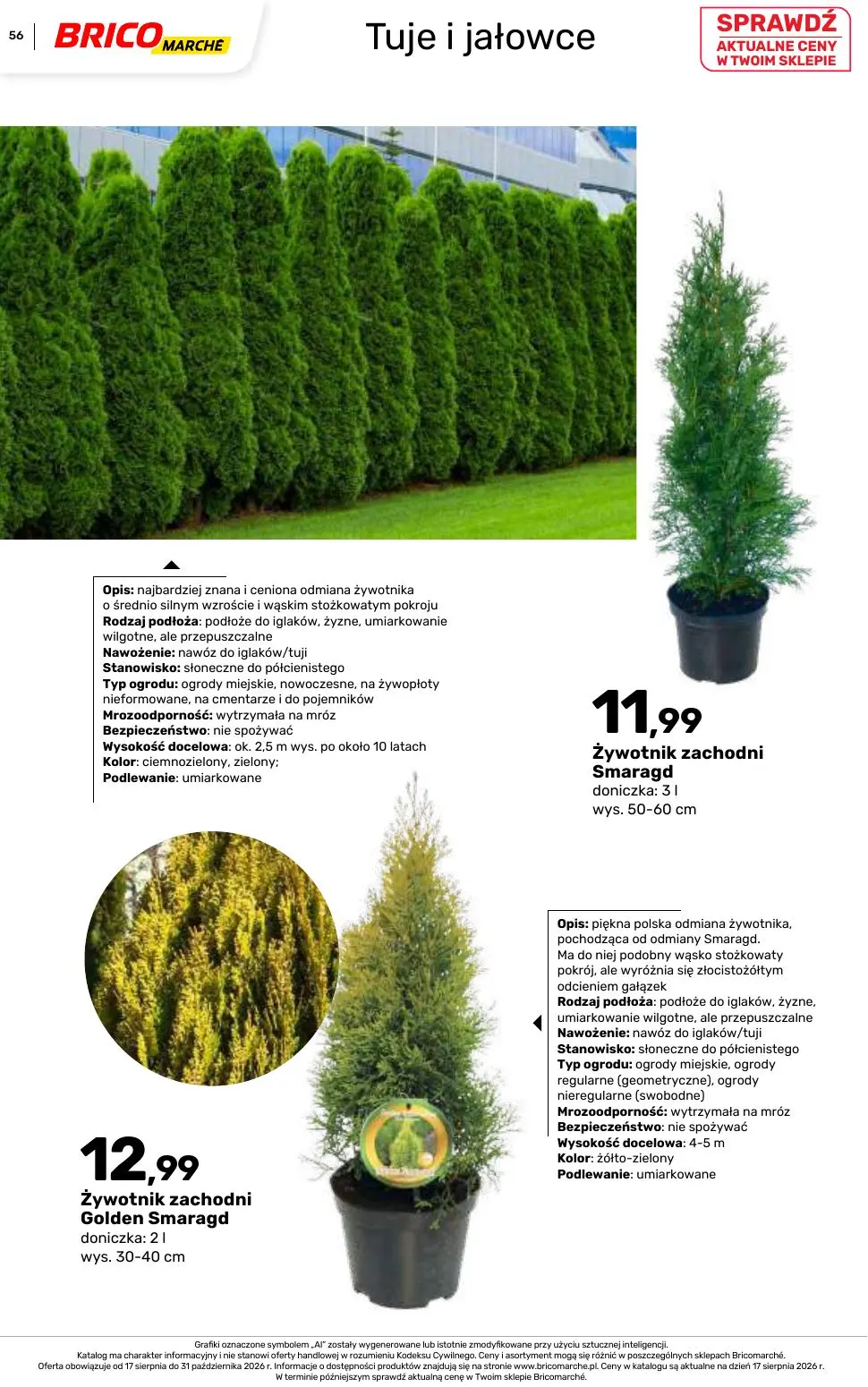 gazetka promocyjna BRICOMARCHE Katalog 2026 - Strona 56