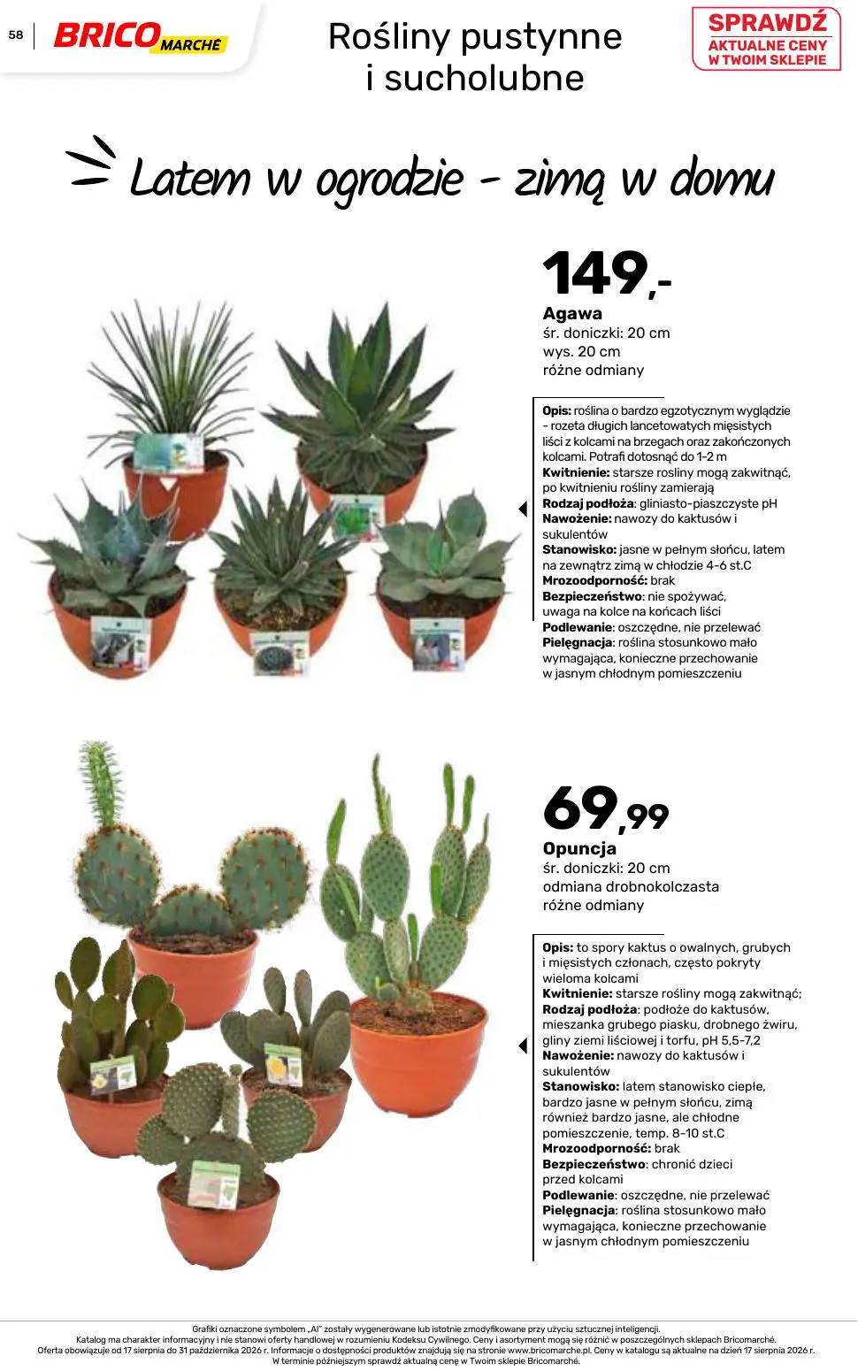gazetka promocyjna BRICOMARCHE Katalog 2026 - Strona 58