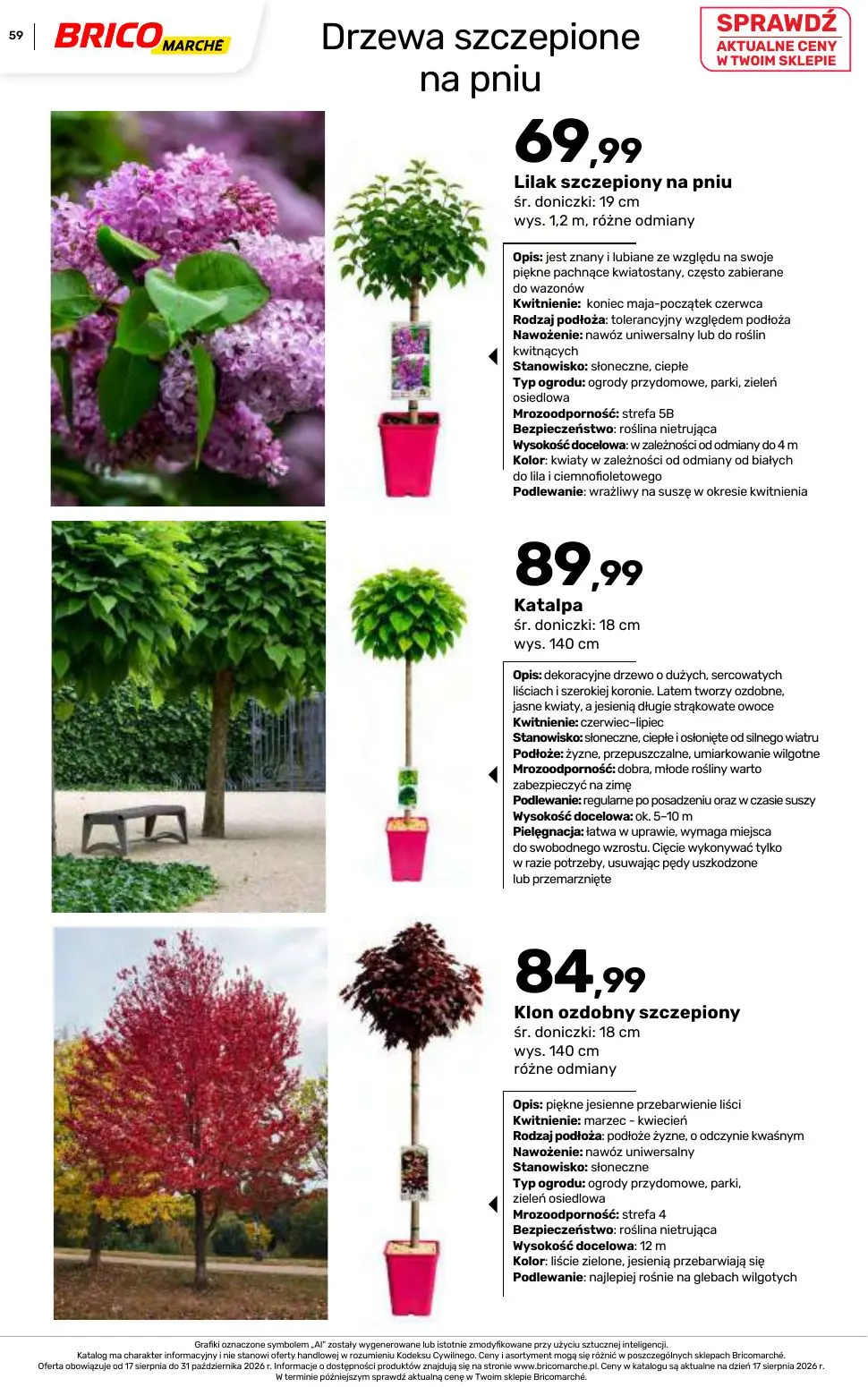 gazetka promocyjna BRICOMARCHE Katalog 2026 - Strona 59