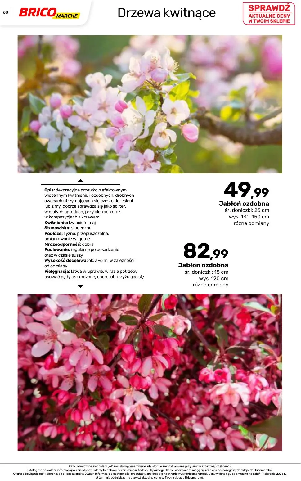 gazetka promocyjna BRICOMARCHE Katalog 2026 - Strona 60