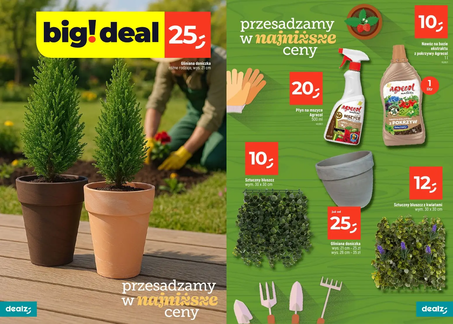 gazetka promocyjna Dealz PRZESADZAMY W NAJNIŻSZE CENY - Strona 4