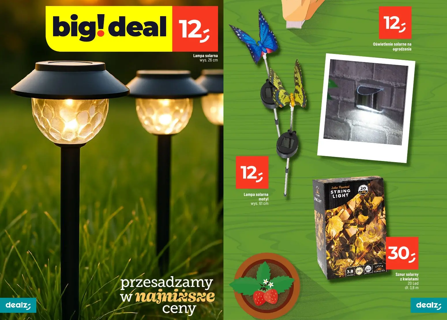 gazetka promocyjna Dealz PRZESADZAMY W NAJNIŻSZE CENY - Strona 5