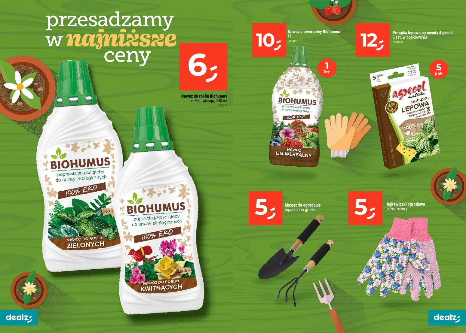 gazetka promocyjna Dealz PRZESADZAMY W NAJNIŻSZE CENY - Strona 13