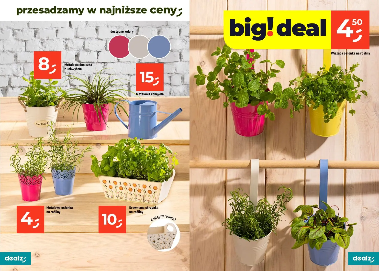 gazetka promocyjna Dealz PRZESADZAMY W NAJNIŻSZE CENY - Strona 5