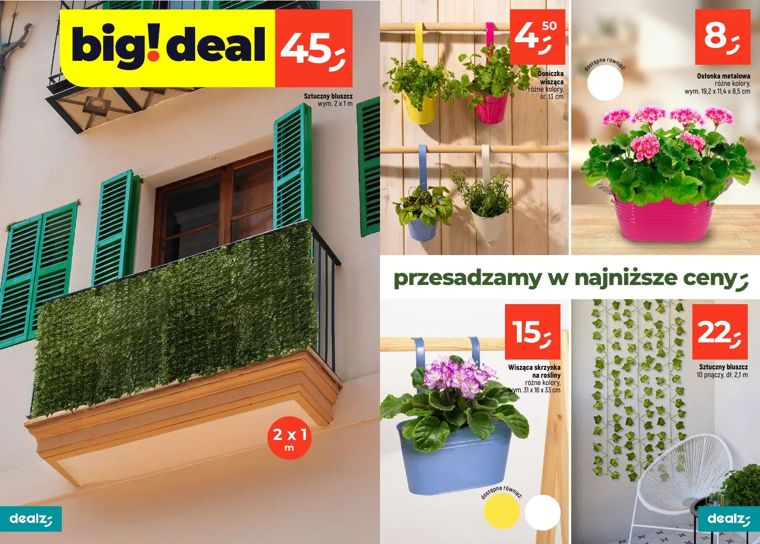 gazetka promocyjna Dealz PRZESADZAMY W NAJNIŻSZE CENY - Strona 2