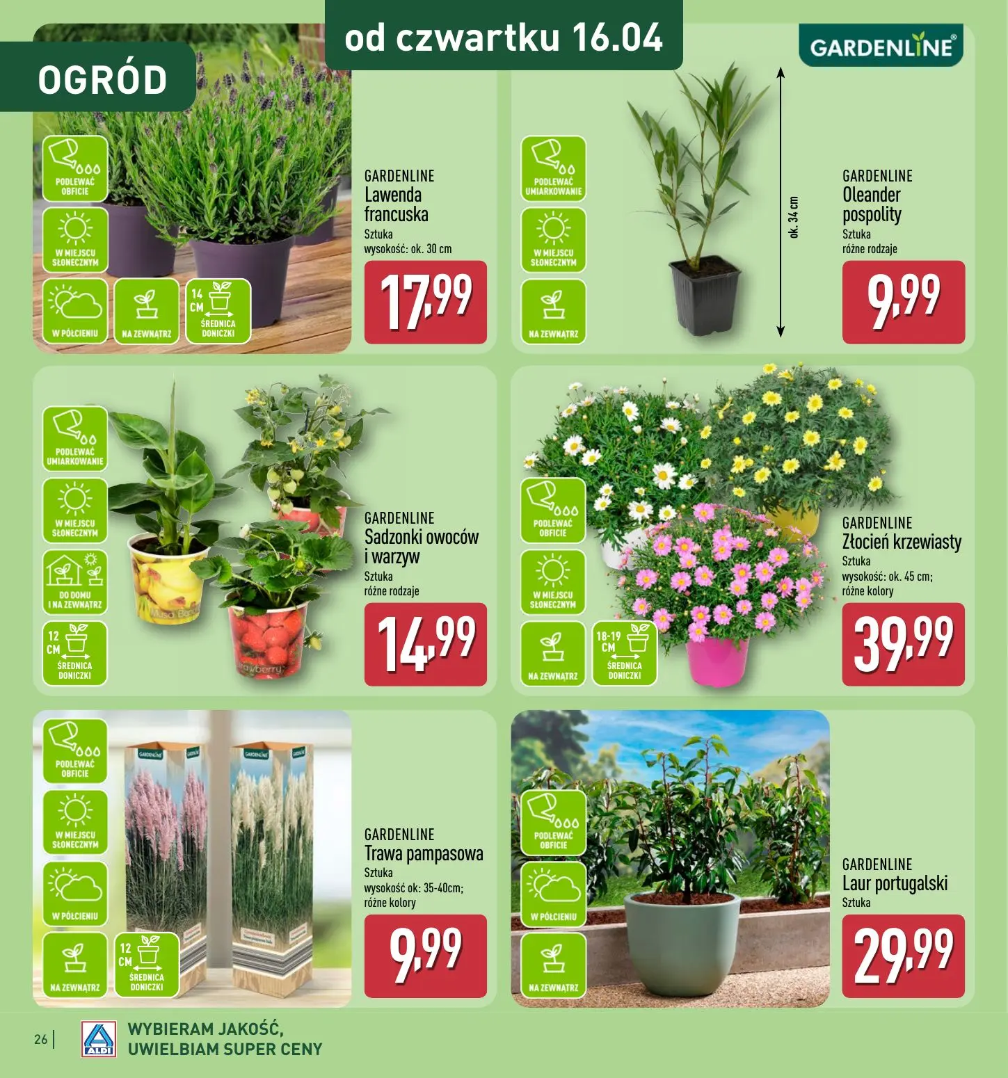 gazetka promocyjna ALDI Katalog ogrodowy - Strona 26