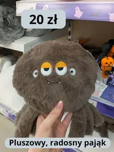 Gazetka promocyjna Dealz, ważna od 2026-09-09 do .