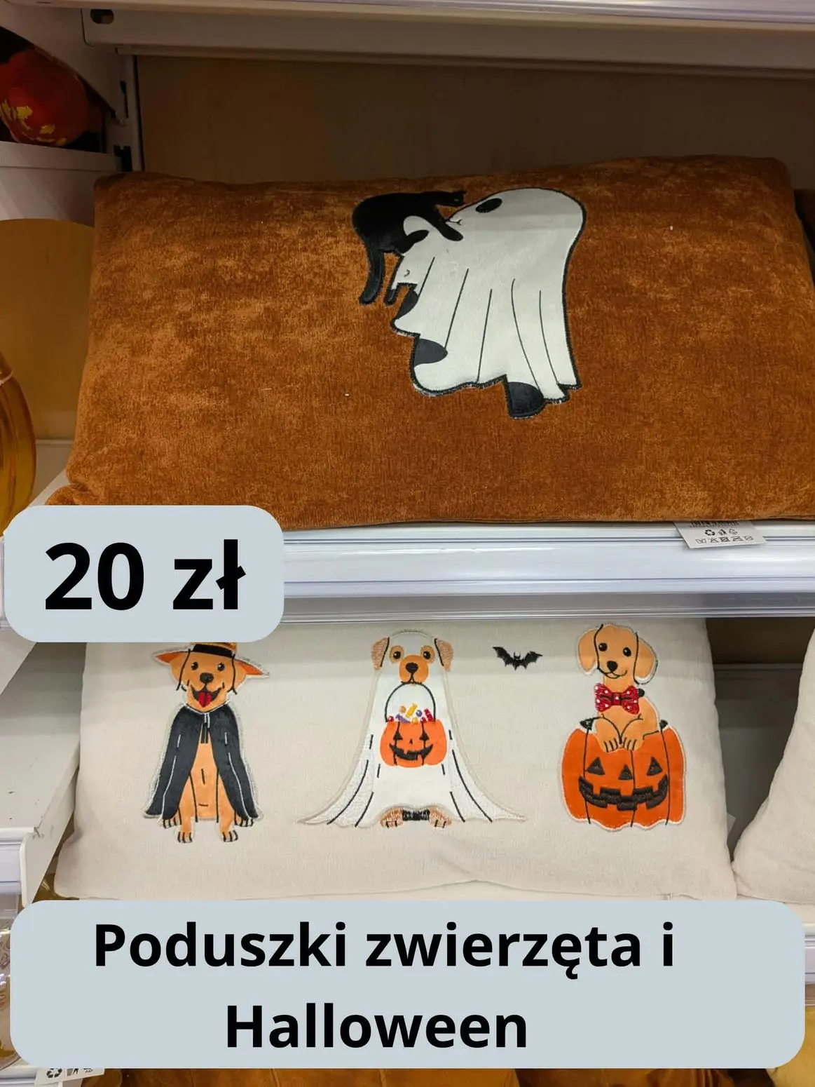 gazetka promocyjna Dealz Zakupowy przegląd Halloween! - Strona 4