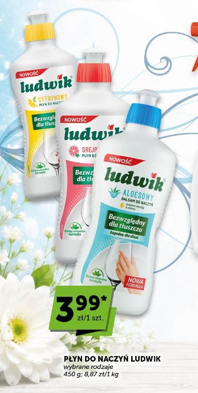 Płyn do naczyń Ludwik w ofercie sklepu ABC