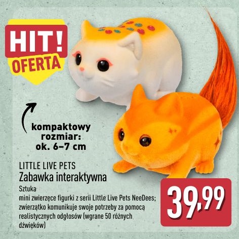 Zabawka interaktywna w ofercie sklepu ALDI