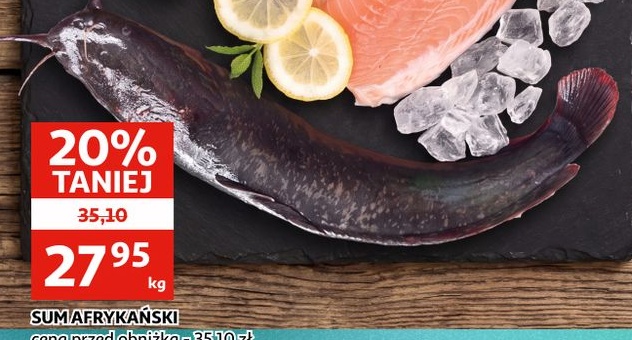 Sum afrykański w ofercie sklepu Auchan