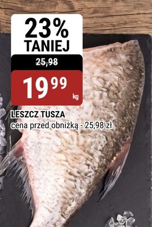 Leszcz tusza w ofercie sklepu bi1