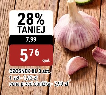 Czosnek XL w ofercie sklepu bi1
