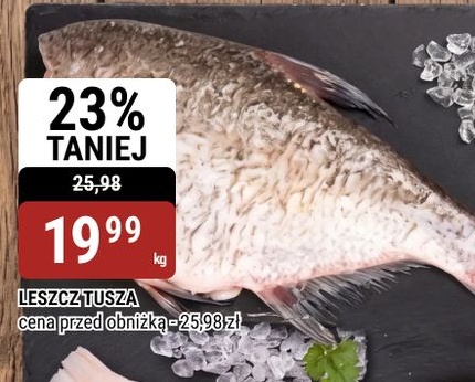 Leszcz tusza w ofercie sklepu bi1