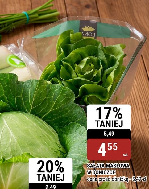 Sałata masłowa w doniczce w ofercie sklepu bi1
