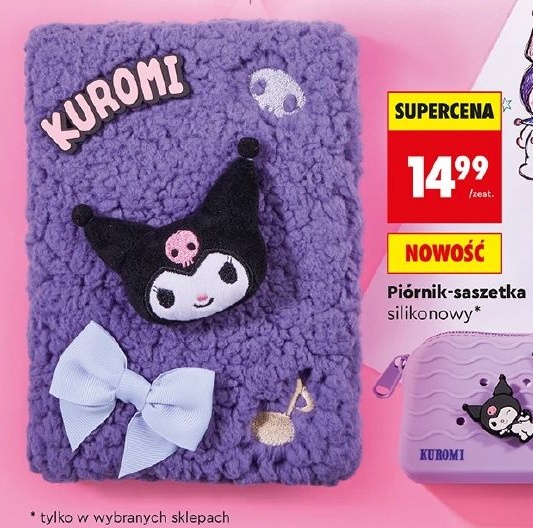 piórnik saszetka w ofercie sklepu Biedronka