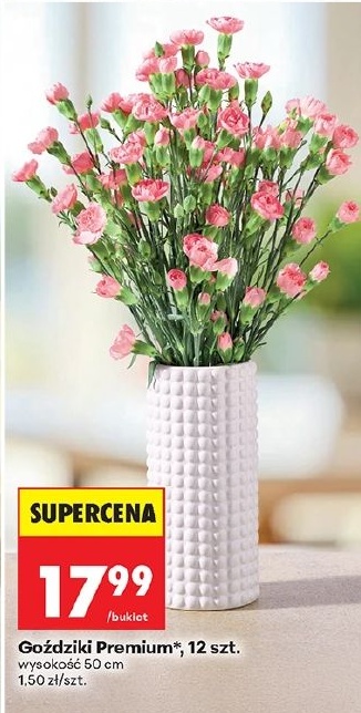 Goździki Premium w ofercie sklepu Biedronka