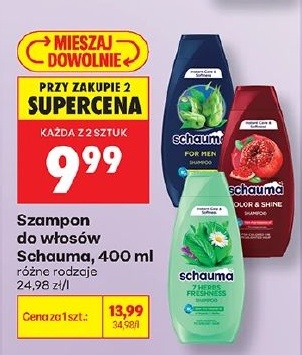 Szampon do włosów Schauma w ofercie sklepu Biedronka