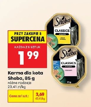Karma dla kota Sheba w ofercie sklepu Biedronka