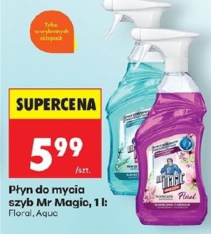 Płyn do mycia szyb Mr Magic w ofercie sklepu Biedronka