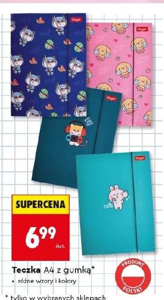 Teczka A4 z gumką w ofercie sklepu Biedronka