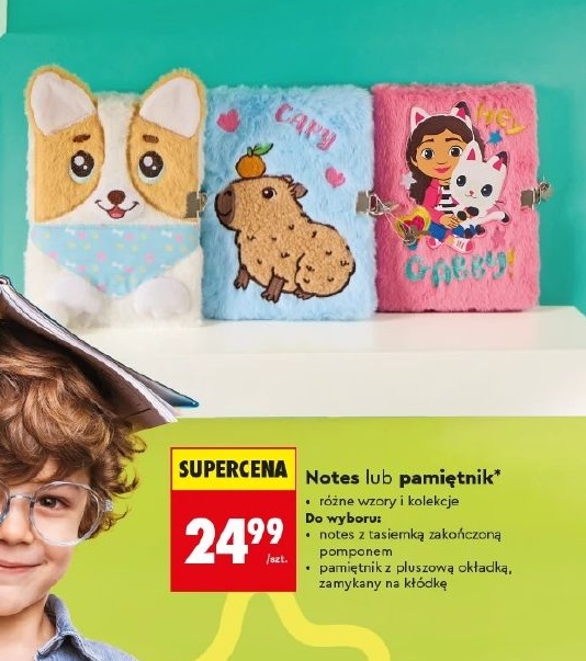 Notes w ofercie sklepu Biedronka