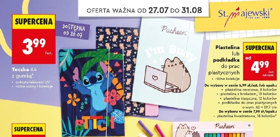 Teczka A4 w ofercie sklepu Biedronka