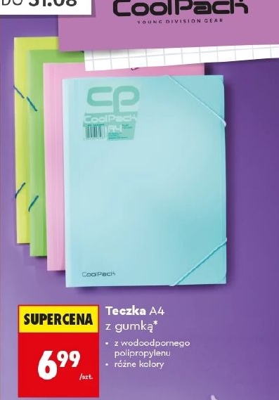 Teczka A4 w ofercie sklepu Biedronka