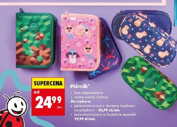 Piórnik w ofercie sklepu Biedronka