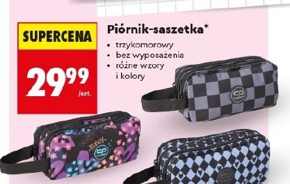 piórnik saszetka w ofercie sklepu Biedronka