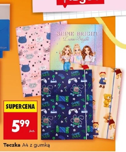 Teczka w ofercie sklepu Biedronka